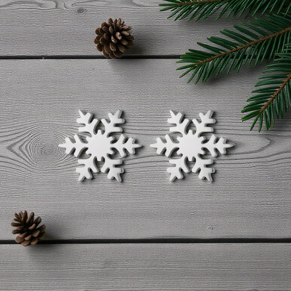 ✅NEW✅ Stainless Steel Snowflake Earrings (Silver)